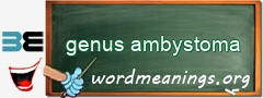 WordMeaning blackboard for genus ambystoma